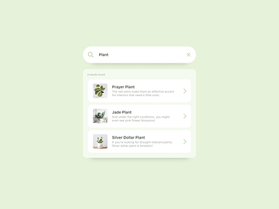 Daily UI #022 | Search cards dailyui dailyuichallenge frosted glass green minimal naturalistic pastel pastel color pastel colors pastel colours plant plants search search bar search results search ui