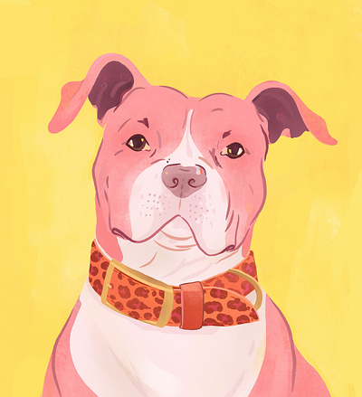 Amstaff Illustration for Hey Dog Co. dog drawing illustration ilustracja nikola hahn nikola ilustracja panther piesek warszawski stafik