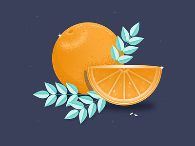 🍊 Oranges affinity designer design designer digital art food food illustration huion illustration illustrator noise brushes still life textures vector vector graphics vector illustration visual designer