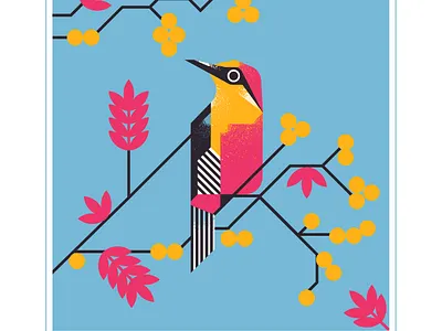 yellow fronted woodpecker animal audubon berry bird blue character design fly geometric illustration pink texture vector