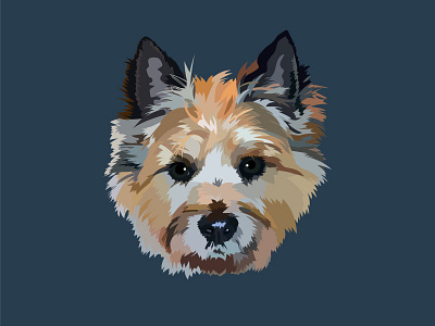 Rye the Cairn Terrier Portrait adobe illustrator design digital illustration digital portrait dog dog illustration dog portrait doggy dogs graphic design graphicdesign illustration illustration art illustrator pet portrait portrait terrier vector