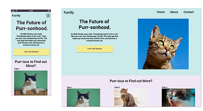 landing page cats copywriter dailyui funny landing page