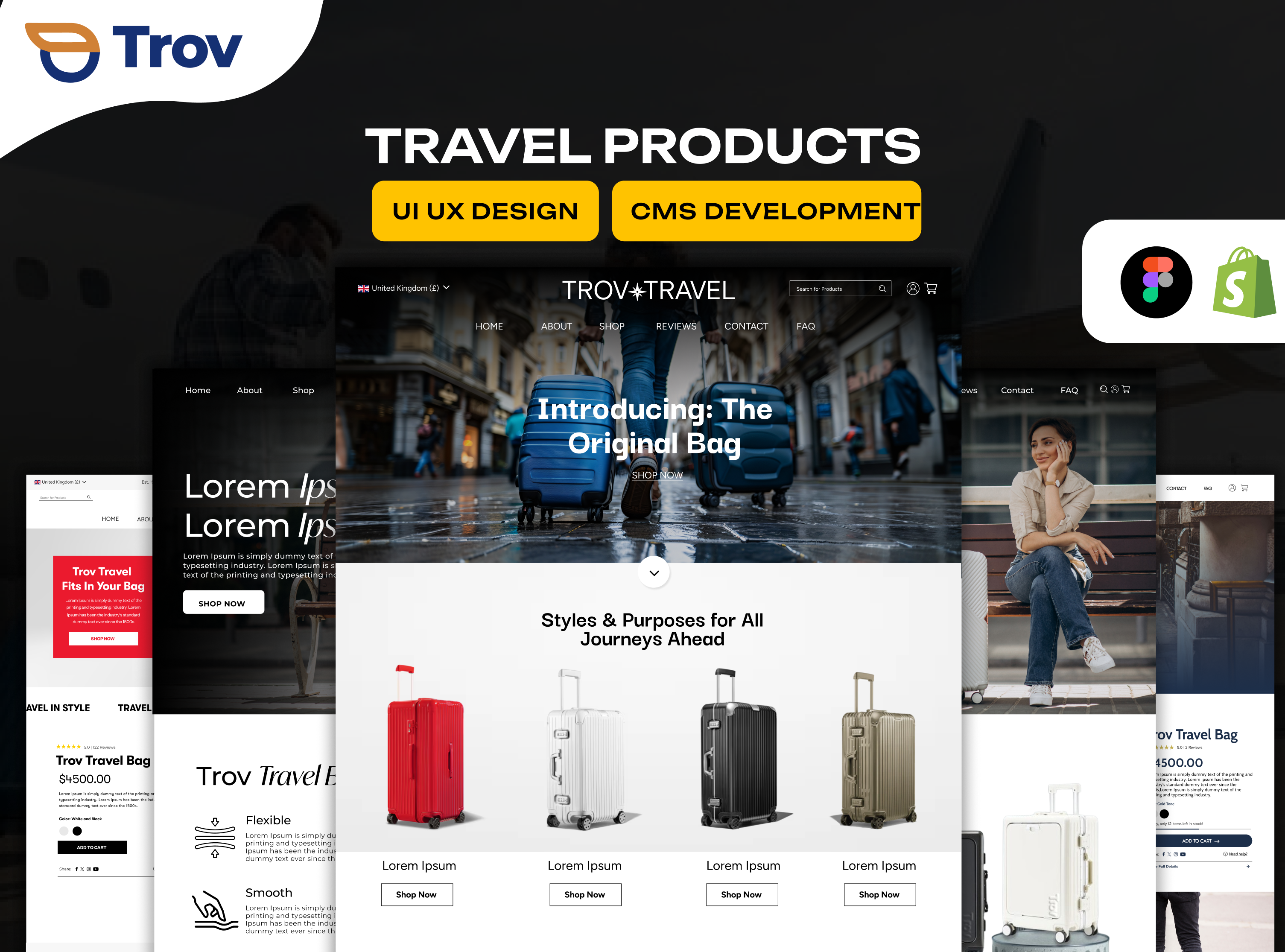 Example of Custom Website Development