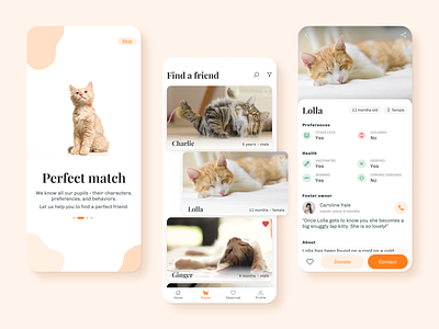 Pet Adoption App 2021 app application beige cat clean design details figma information list listing mobile onboarding orange ui useful user experience user interface ux