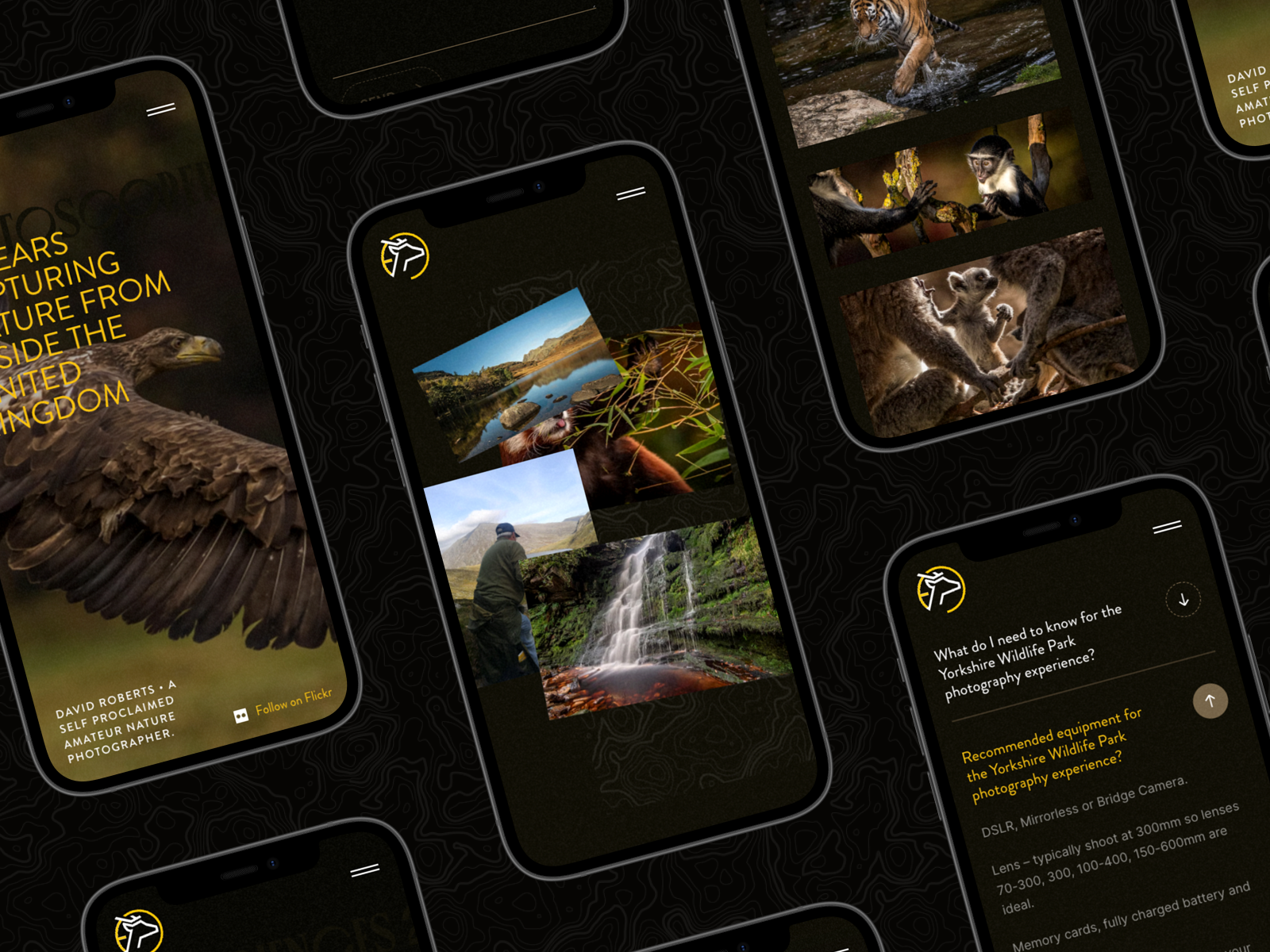 Example of Website Design (UX/UI   Responsive)