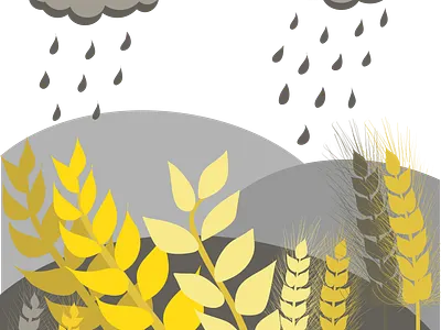 rain cloud and field landscape digital illustration cloud cloudy digital illustration field gray illustration illustration art landscape illustration pantone rain rainy wheat wheather yellow