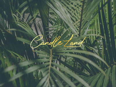 Client Spotlight: CandleLand Miami branding design flyer graphic design illustration logo menu typography website