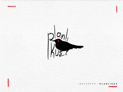 Planli Kuş Logo Design bird graphicdesigner illustration instagram logo logodesign planned post procreate socialmedia socialmedialogo socialmediapost typography art