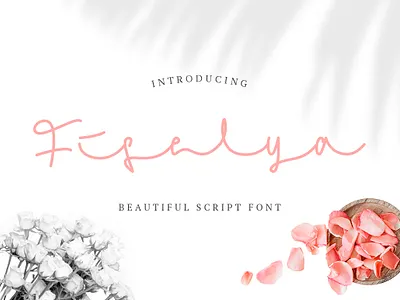 Fiselya - Handwritten Script Font branding design font font awesome font design graphicdesign productdesign typography