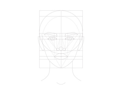 Ideal facial proportions. Golden ratio face. Outline template. art artist beauty face face chart facial fashion golden ideal illustration make up model outline portrait proportions ratio template vector visage woman