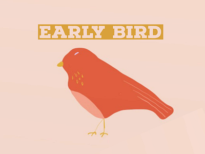 Early Bird