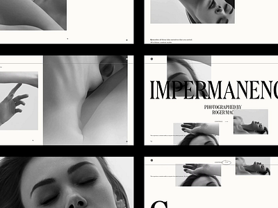 Impermanence Project Launch agency art director branding concept design motion motion design motion graphic portfolio ui ux web web design web designer website website launch