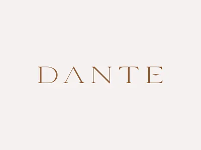 Dante branding custom design logo logodesign minimal simple typography vector