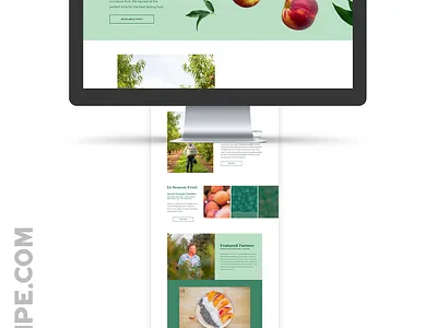Tree Ripe Fruit Homepage Design branding web design