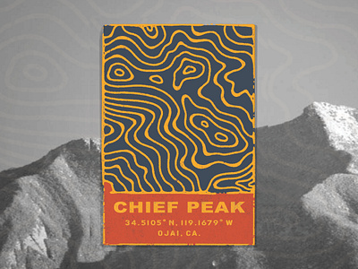 Chief Peak Logo design logo logo design