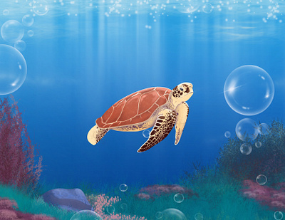 Sea turtle blue brushes bubbles creative market environment fantasy procreate sea turtle underwater