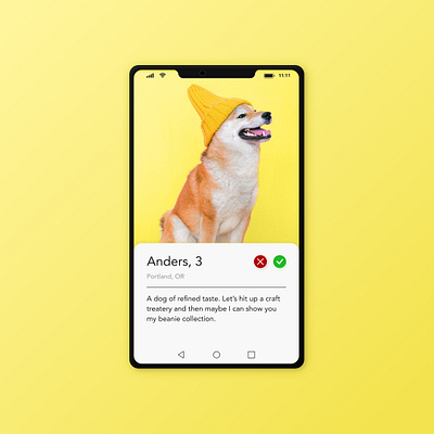 Daily UI 006 coloroftheyear daily 100 challenge daily ui 006 dailyui dailyuichallenge dating profile dog profile pantone pantone2021 tinder user profile