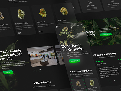 Cannabis E-Commerce Store Landing Page cannabis cannabis packaging cbd concept design interface landing page leaf marihuana marjuana natural organic plants thc ui visual design ux web web design website weed