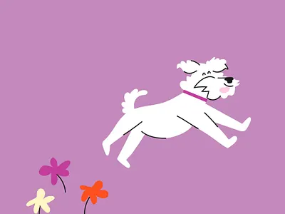 the goose characters design doodle illustration pets