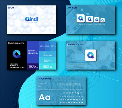 QINTIL brand guideline brand identity business logo