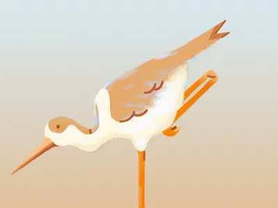 Animal-Bird design illustration vector