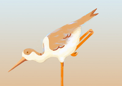 Animal-Bird design illustration vector