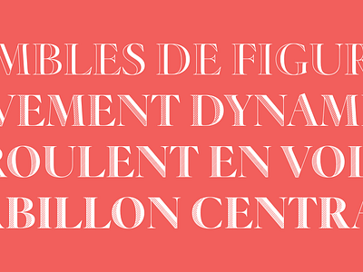 Elaine Ombre display dstype typeface typography