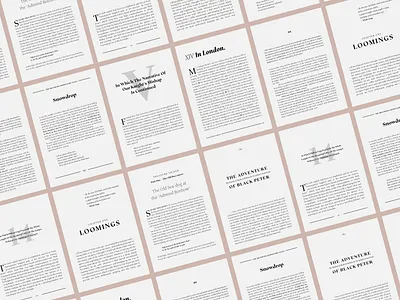 Effigy Mockups dstype editorial serif typeface typography