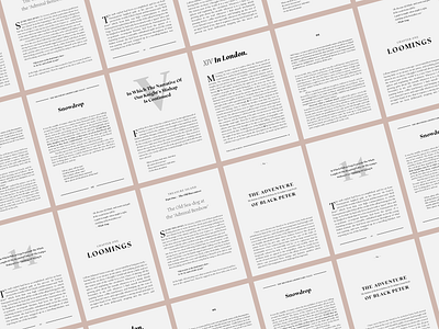 Effigy Mockups dstype editorial serif typeface typography
