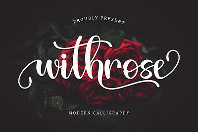 Free Withrose Calligraphy Font calligraphy colorful creative design elegant font modern modern calligraphy modern script old style open type script