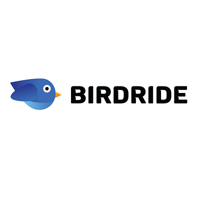 aBIRD RIDE LOGO design illustration logo typography vector