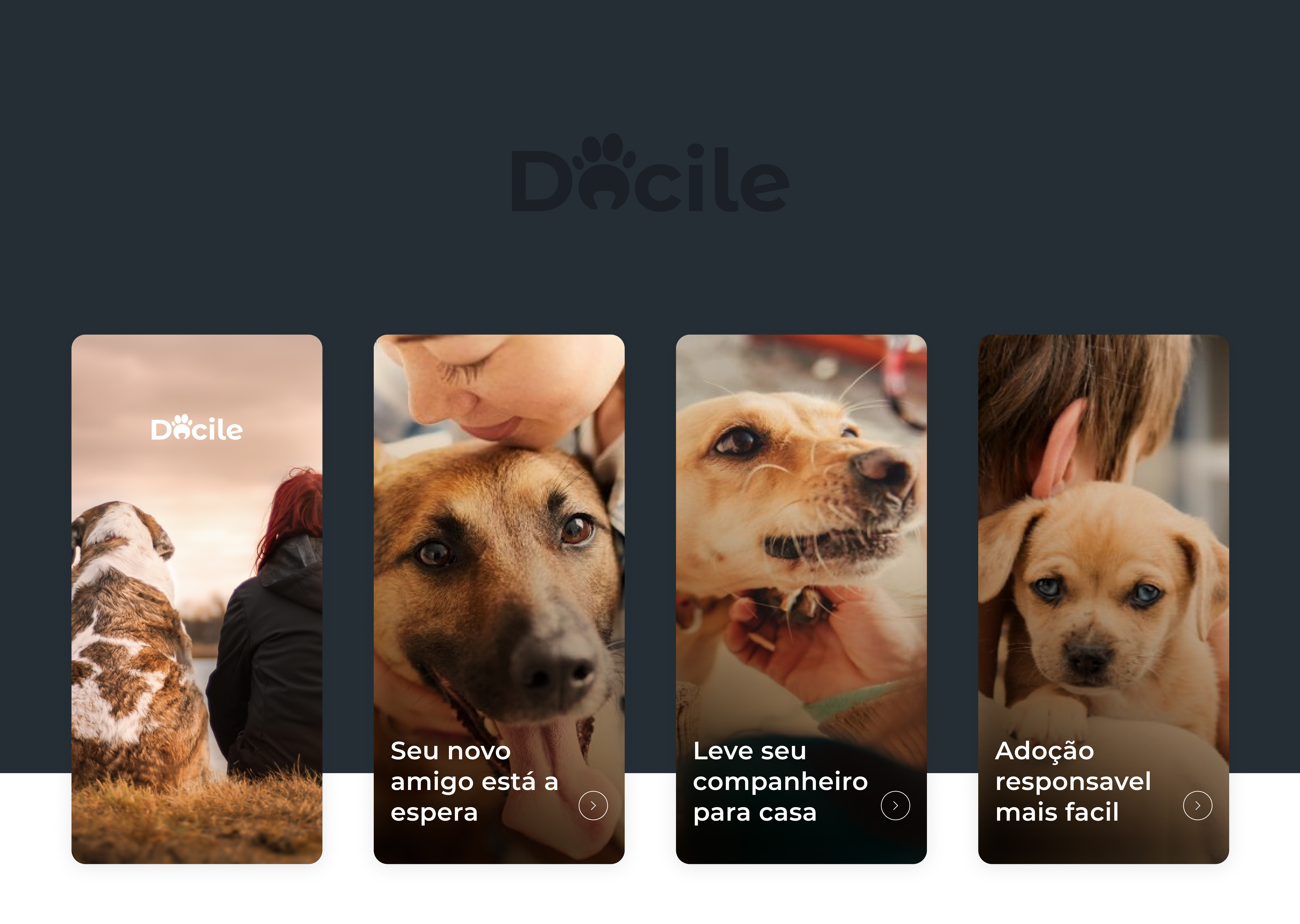 Example of Docile- mobile adoption application