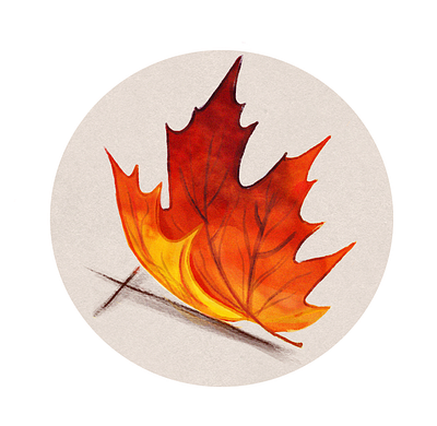 Turned Leaf logo art autumn branding design freelance illustration logo mapleleaf plants texture