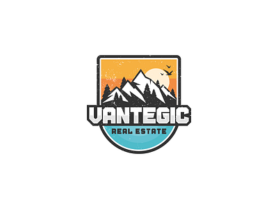 Colorado Life - Vantegic Real Estate Logo brand brand design brand identity branding branding design design illustration logo logodesign vector