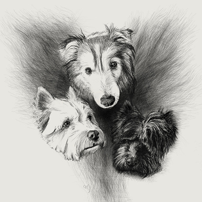 Fur baby commission corel painter digitalart dogs drawing huion illustration portraits sketch