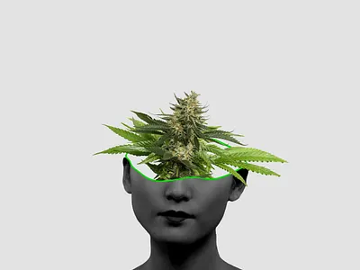 weed art design graphic graphic design graphicdesign photoshop weed weeds