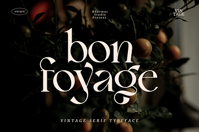 Bon Foyage - Vintage Modern Serif 60s font art deco branding classic classy elegant femininime font fonts header headline invitation logo luxury magazine modern retro serif vintage wedding