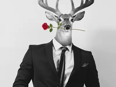 gentleman deer art deer design gentleman graphic graphic design graphicdesign photoshop rose