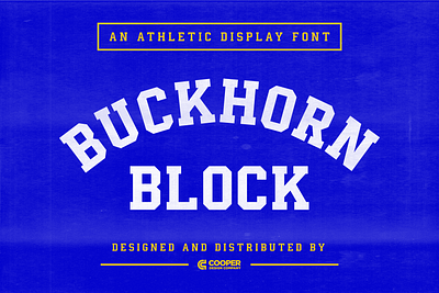 Buckhorn Block - Font font font design type type design typeface typeface design typography