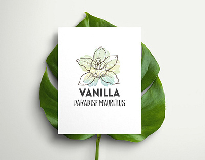 logo Vanilla Paradise Mauritius botanical branding design flower logo mauritius nature logo