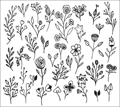 hand drawn flowers floral floral elements hand drawn hand drawn illustration