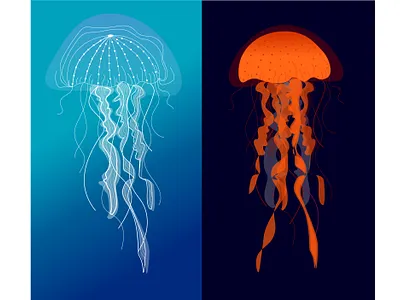 Jellyfish illustration