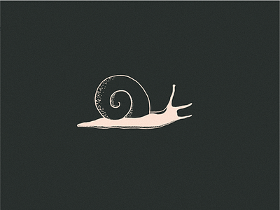 Snail Sketch branding design illustration procreate snail vector