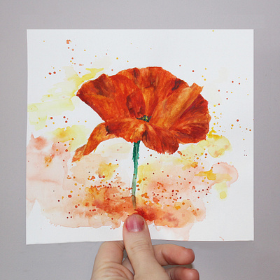 Poppy Illustration blending colour creativity flower flower illustration graphicdesign illustration nature poppy red red flower watercolor wildlife