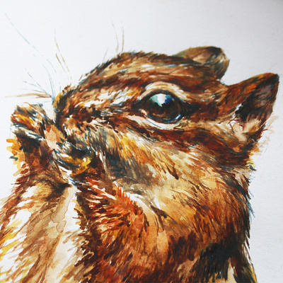 Chipmunk Zoom in chipmunk creativity design fur graphicdesign illustration small animal texture watercolor whiskers wildlife woodland woodland creature woodlands zoom zoom in