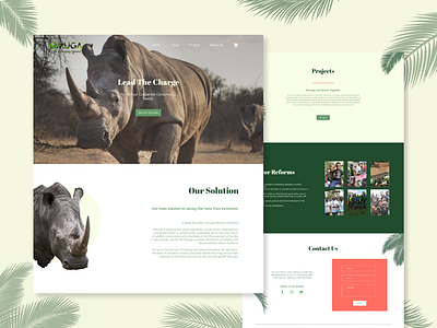 Omuga: Rhino Conservatory conservation nature non profit rhino web design website wildlife