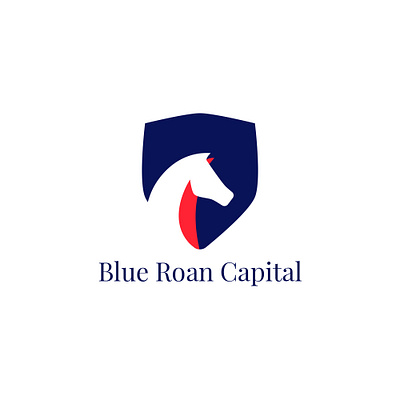 BLUE ROAN CAPITAL LOGO Deesign branding clean identity illustration logo minimal