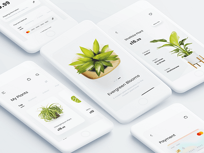 Plants Shopping App 2021 trend app clean concept creative color design dribbble best shot ecommerce flat minimal mobile online online shopping online store plant popular design ui ux white