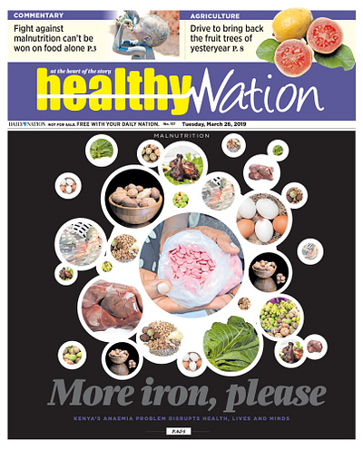 Healthy Nation Layout graphic design typography