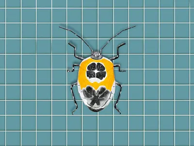 Letting go of fear art bug colors design illustration illustrator ui vector